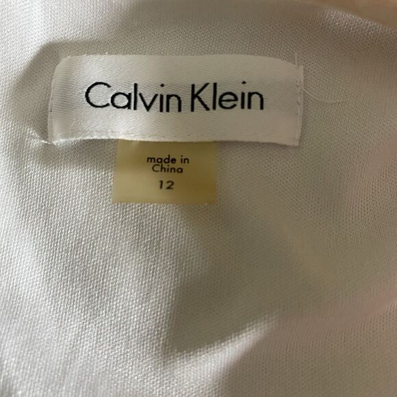 CALVIN KLEIN Dress Floral A-Line Sleeveless Sheer Overlay Womens 12 Pink White - Picture 4 of 8